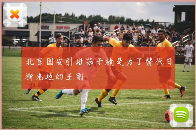 北京国安引进茹子楠是为了替代日渐老迈的王刚
