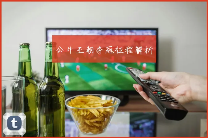 公牛王朝夺冠征程解析