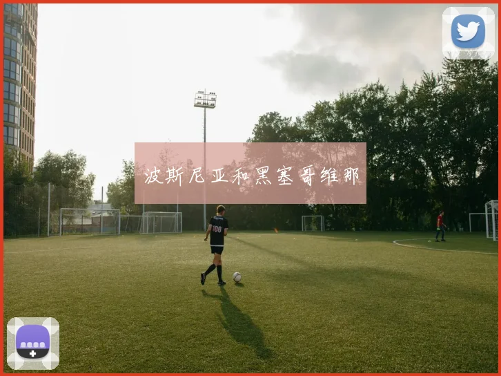 波斯尼亚和黑塞哥维那