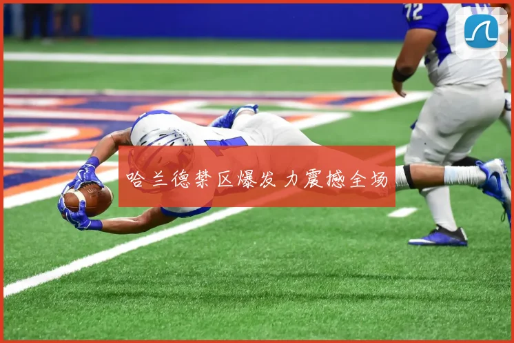 哈兰德禁区爆发力震撼全场