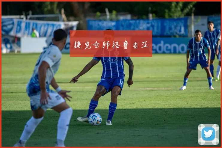 捷克会师格鲁吉亚