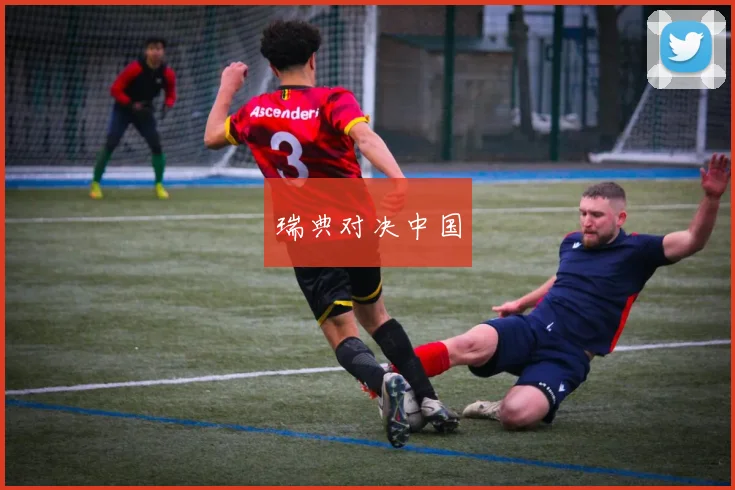 瑞典对决中国