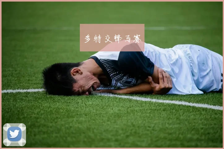 多特交锋马赛