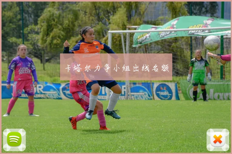 卡塔尔力争小组出线名额