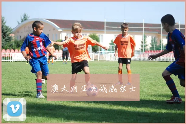 澳大利亚决战威尔士