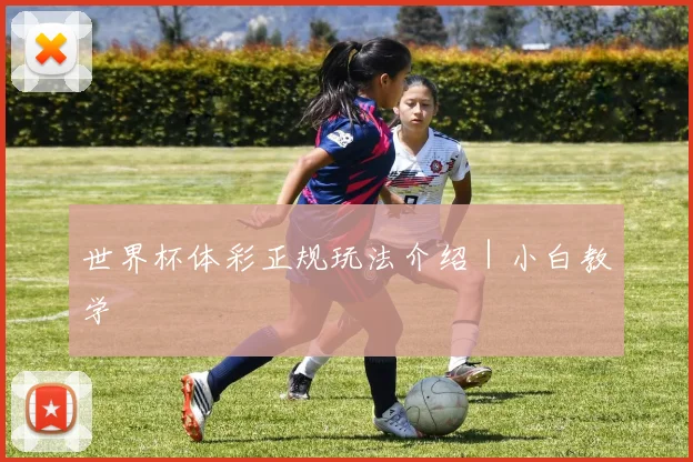 世界杯体彩正规玩法介绍｜小白教学
