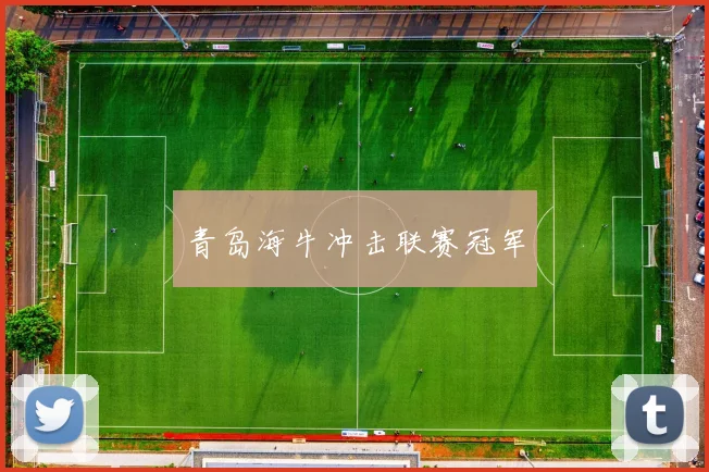 青岛海牛冲击联赛冠军
