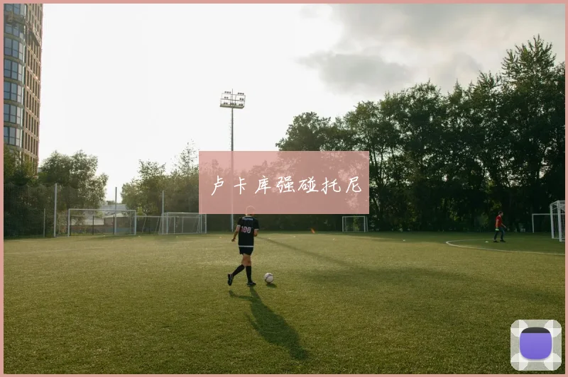 卢卡库强碰托尼