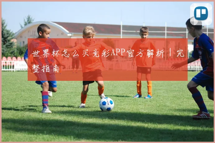 世界杯怎么买竞彩APP官方解析｜完整指南