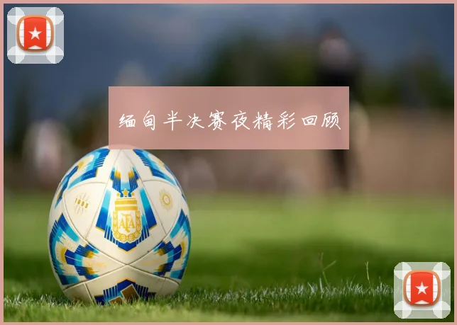 缅甸半决赛夜精彩回顾