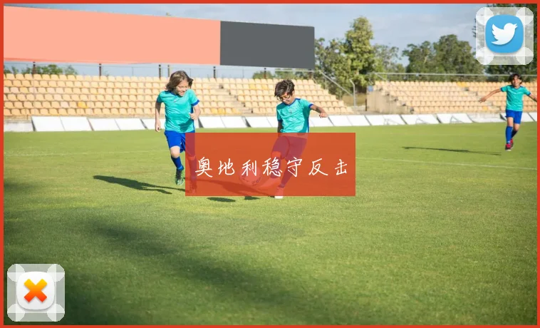 奥地利稳守反击