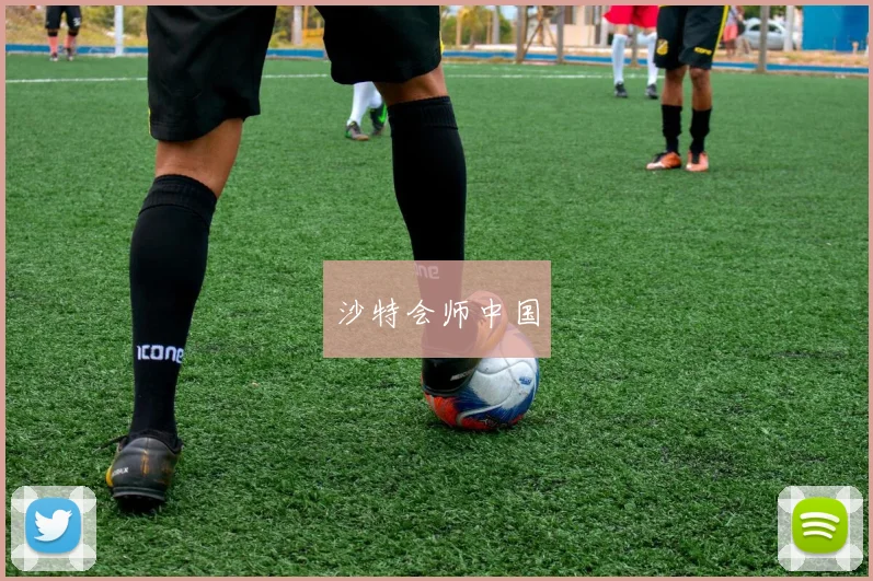 沙特会师中国
