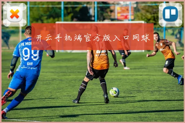 开云手机端官方版入口网球
