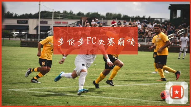 多伦多FC决赛前哨