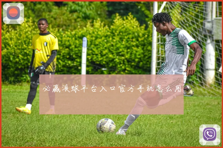 必赢滚球平台入口官方手机怎么用