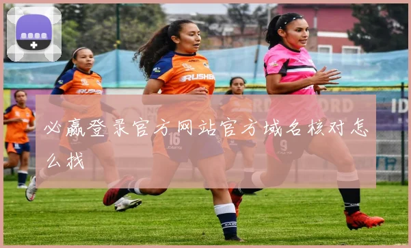 必赢登录官方网站官方域名核对怎么找